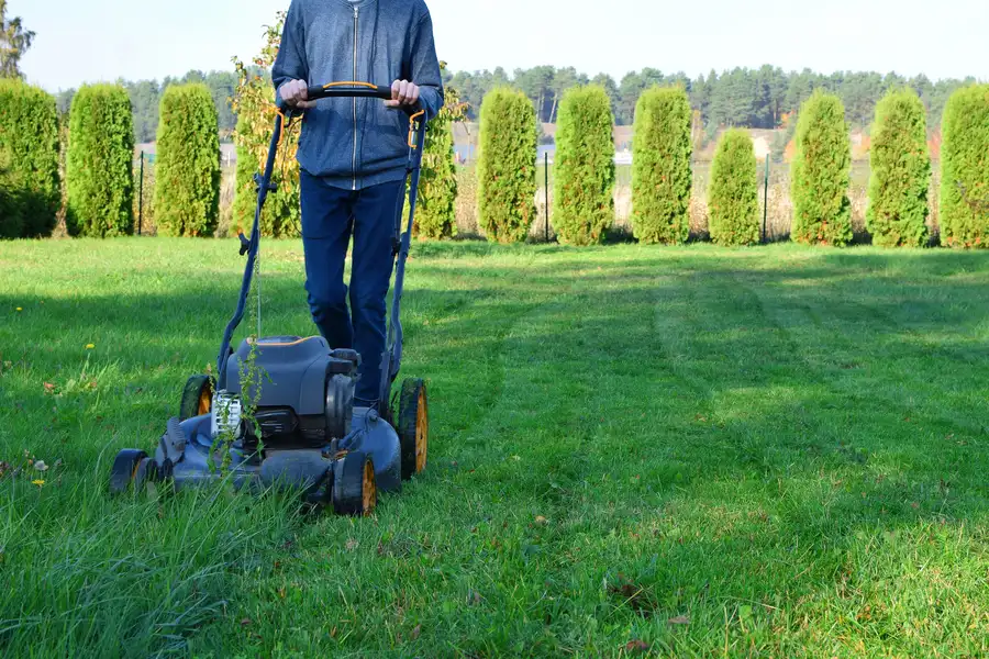 Benefits Of Regular Lawn Mowing Services For Yards Ephrata, PA
