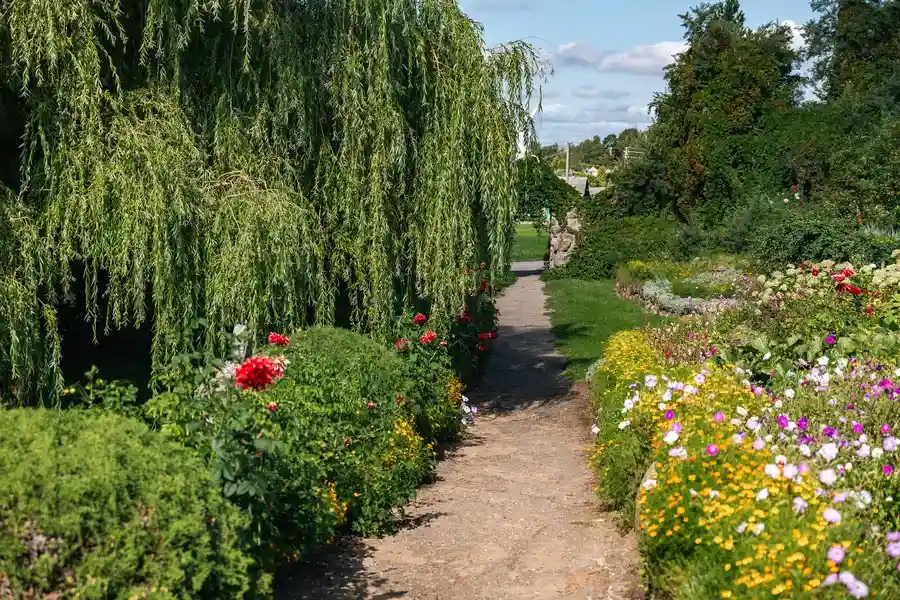 Common Issues Solved By Garden Maintenance in Ephrata, PA