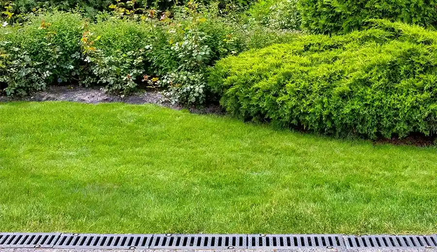 Creating Harmony With Backyard Landscape Design Elements Ephrata, PA Creating Harmony With Backyard Landscape Design Elements Ephrata, PA
