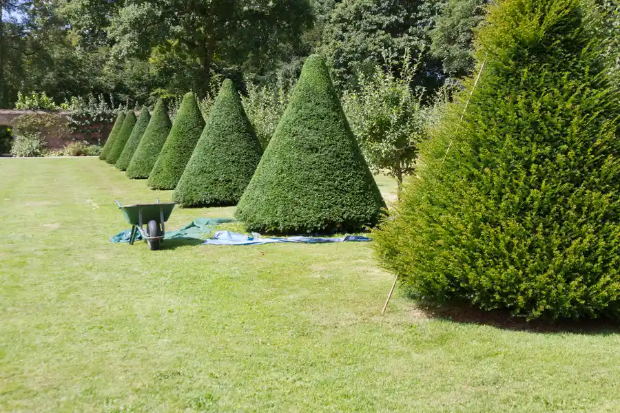 Excellent Garden Design Ephrata, PA Excellent Garden Design Ephrata, PA