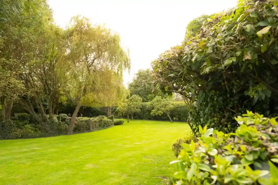 Expert Garden Maintenance Ephrata, PA