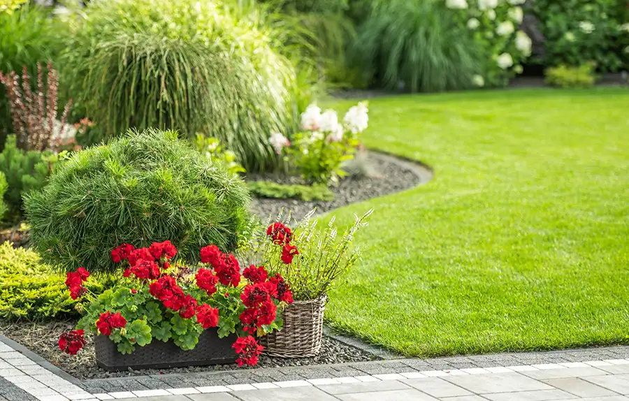 How Backyard Landscape Design Enhances Outdoor Living Ephrata, PA How Backyard Landscape Design Enhances Outdoor Living Ephrata, PA