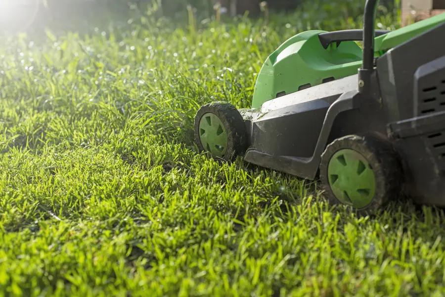 How Lawn Mowing Services Save Time And Effort in Ephrata, PA