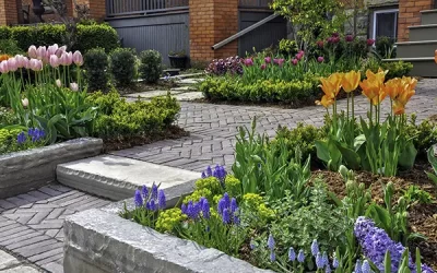 Common Mistakes in Flower Bed Design and Solutions