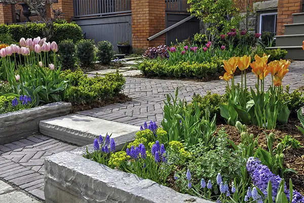 Common Mistakes in Flower Bed Design and Solutions