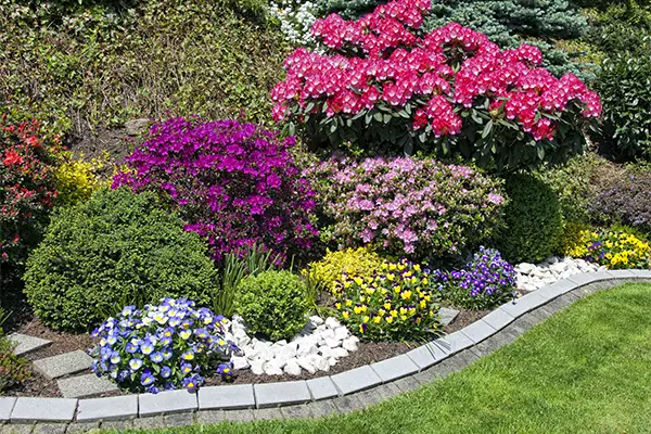 How Flower Bed Design Supports Seasonal Growth