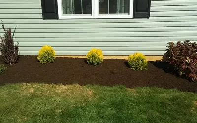 Benefits of Professional Garden Design Services