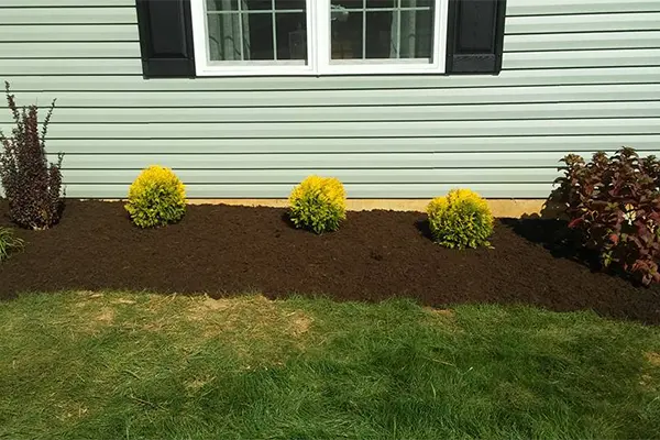 Benefits of Professional Garden Design Services