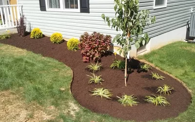 What to Expect During a Garden Design Process