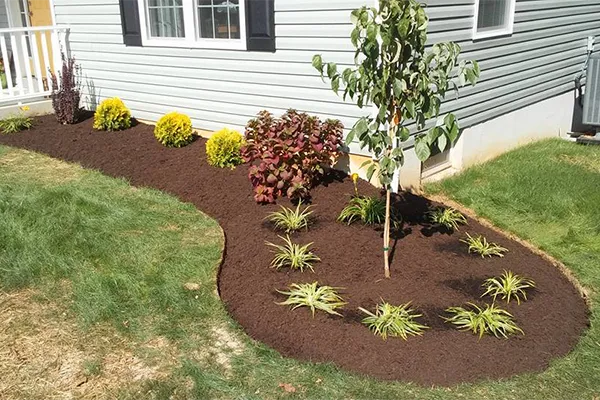 What to Expect During a Garden Design Process