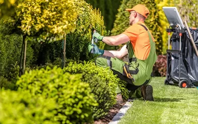 How Garden Maintenance Prevents Weed Overgrowth