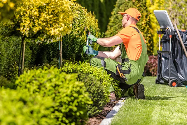 How Garden Maintenance Prevents Weed Overgrowth