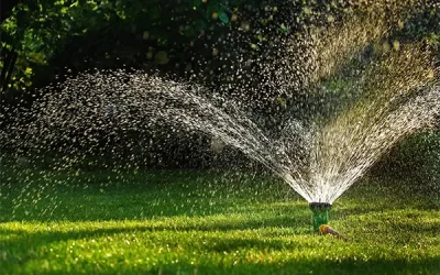 How Lawn Irrigation Services Maintain Soil Moisture Levels