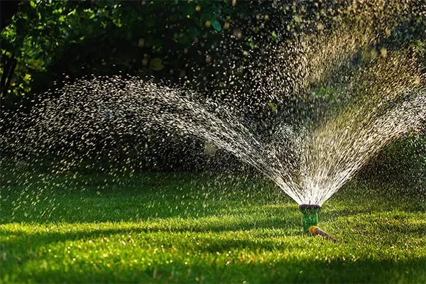 How Lawn Irrigation Services Maintain Soil Moisture Levels