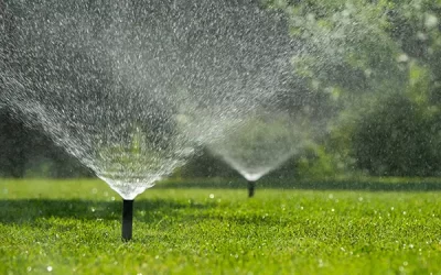 When to Schedule Lawn Irrigation Services for Lawns