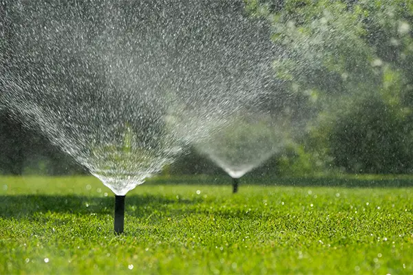 When to Schedule Lawn Irrigation Services for Lawns