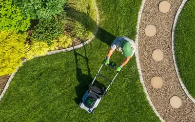 Benefits of Regular Lawn Mowing Services for Yards