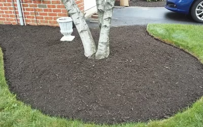 How Mulch Installation Enhances Landscape Appearance