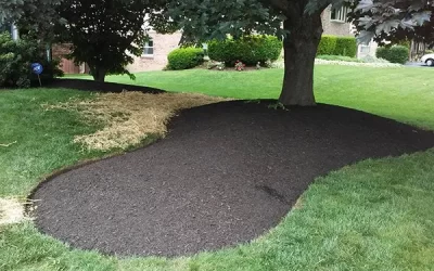 Why Mulch Installation Is Important for Seasonal Care
