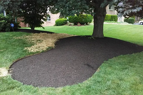 Why Mulch Installation Is Important for Seasonal Care